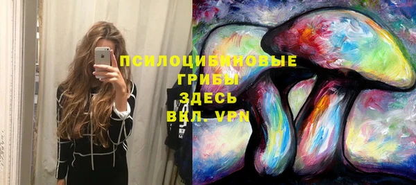 прущая мука Верхний Тагил