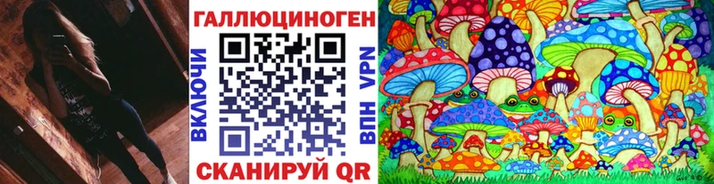 Галлюциногенные грибы Psilocybe Улан-Удэ