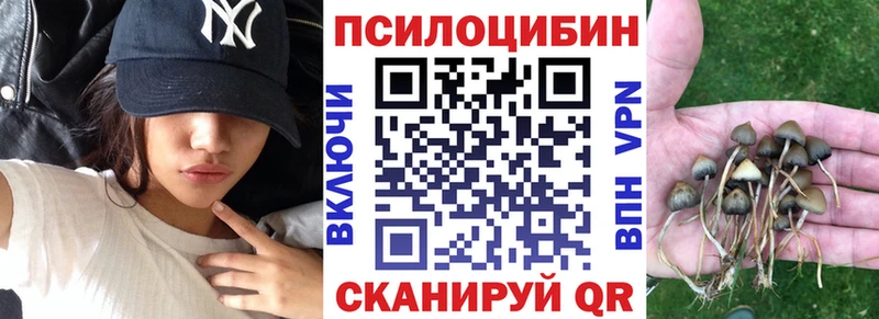 Галлюциногенные грибы Psilocybe  kraken ТОР  Улан-Удэ  купить  